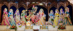 Daily Darshan