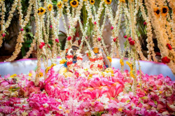 Daily Darshan