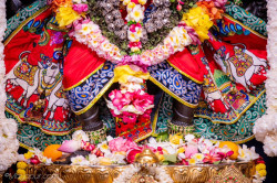 Daily Darshan