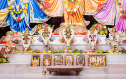 Daily Darshan