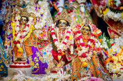 Daily Darshan