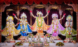 Daily Darshan
