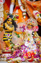 Daily Darshan