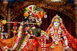 Daily Darshan
