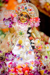 Daily Darshan