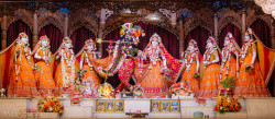 Daily Darshan