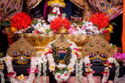Daily Darshan