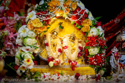 Daily Darshan