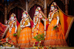 Daily Darshan