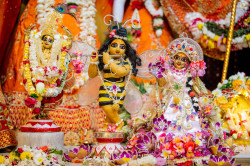 Daily Darshan