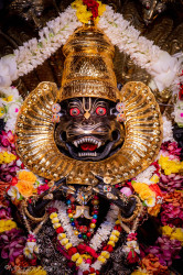 Daily Darshan