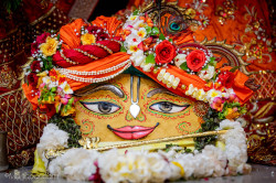 Daily Darshan