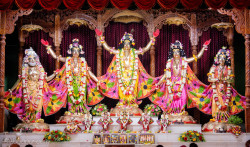 Daily Darshan