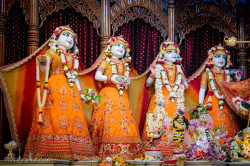 Daily Darshan