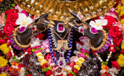 Daily Darsahan