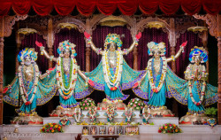 Daily Darsahan