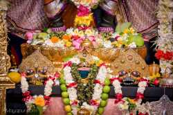 Daily Darsahan
