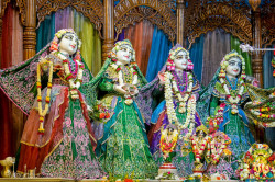 Daily Darsahan