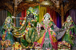 Daily Darsahan