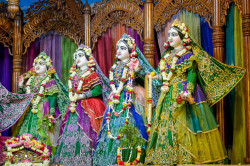 Daily Darsahan