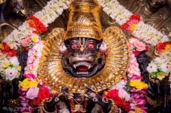 Daily Darshan