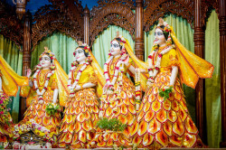 Daily Darshan