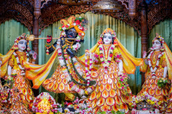 Daily Darshan