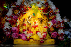 Daily Darshan