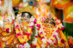 Daily Darshan