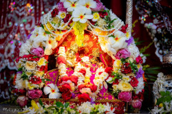 Daily Darshan