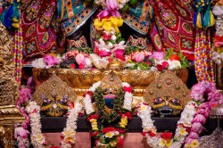 Daily Darshan