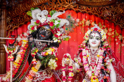 Daily Darshan