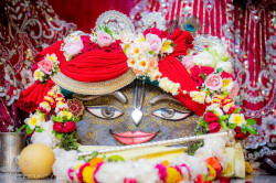 Daily Darshan