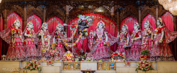 Daily Darshan