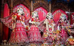 Daily Darshan