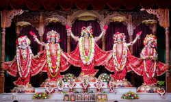 Daily Darshan