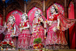 Daily Darshan