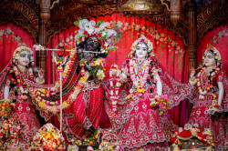 Daily Darshan