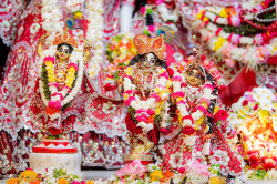 Daily Darshan