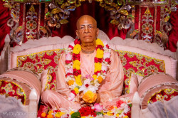 Daily Darshan