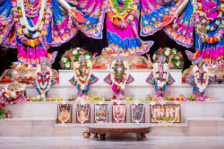Daily Darshan