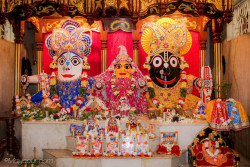 Daily Darshan