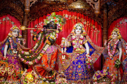 Daily Darshan