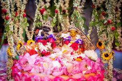 Daily Darshan