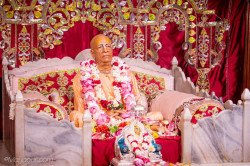 Daily Darshan