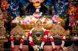 Daily Darshan