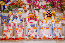 Daily Darshan