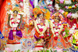 Daily Darshan