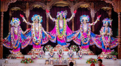 Daily Darshan