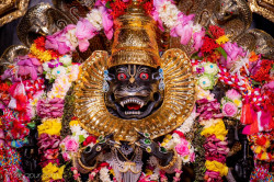 Daily Darshan